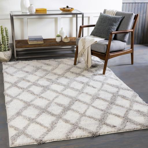 Surya Everton ETN-2300 Gray Light Gray 5'3" x 7' Rug