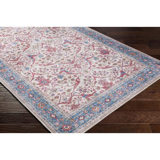 Surya Iris IRS-2325 Beige Blue 3'6" x 5'6" Rug