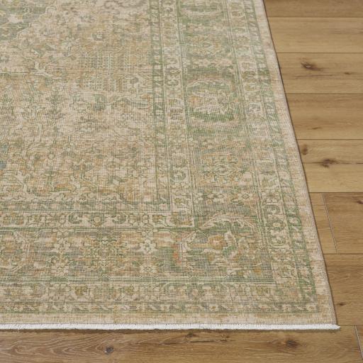 Surya Once Upon a Time OAT-2313 Tan 2'11" x 9'10" Rug