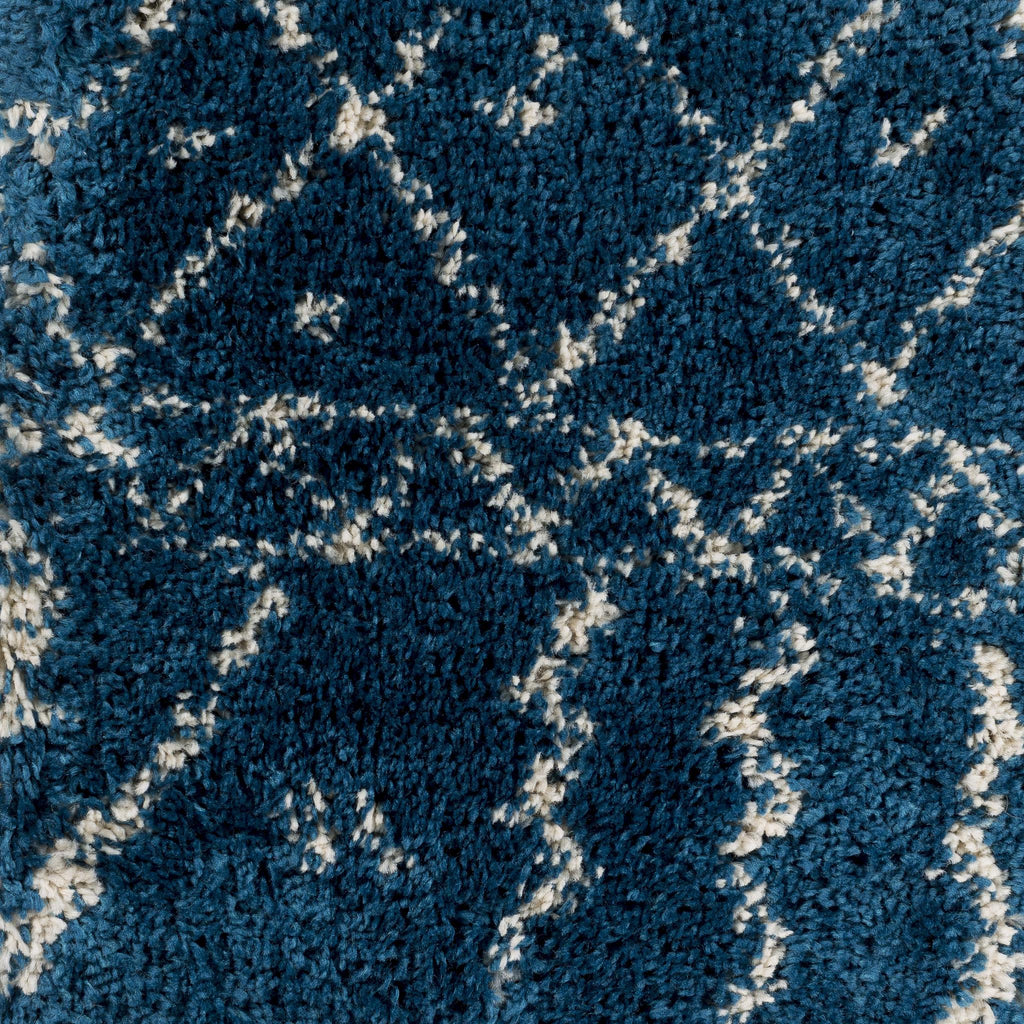 Surya Wilder WDR-2007 Blue White 5'3" x 7'7" Rug