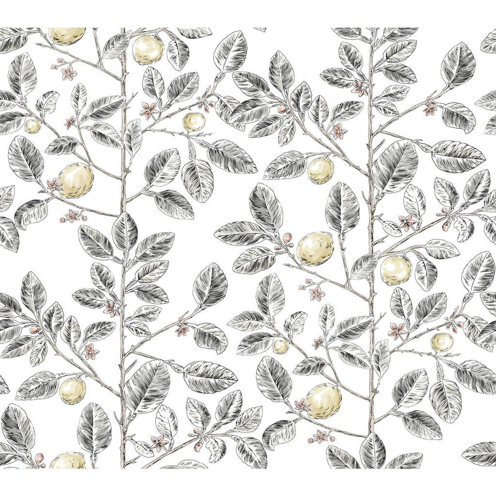 Kravet KRAVET DESIGN W4241-21 Wallpaper