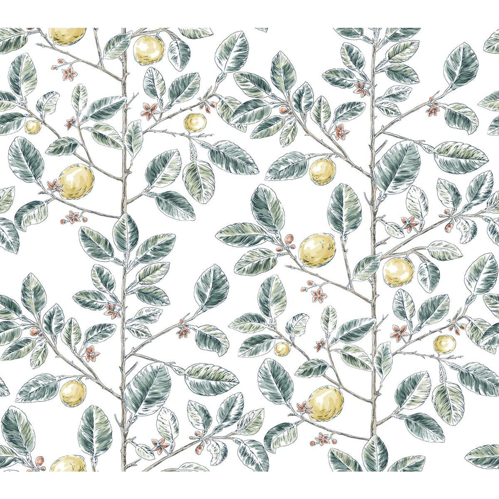 Kravet KRAVET DESIGN W4241-354 Wallpaper