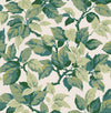 Brewster Home Fashions Advantage Westbury Forest Canopy Green Wallpaper