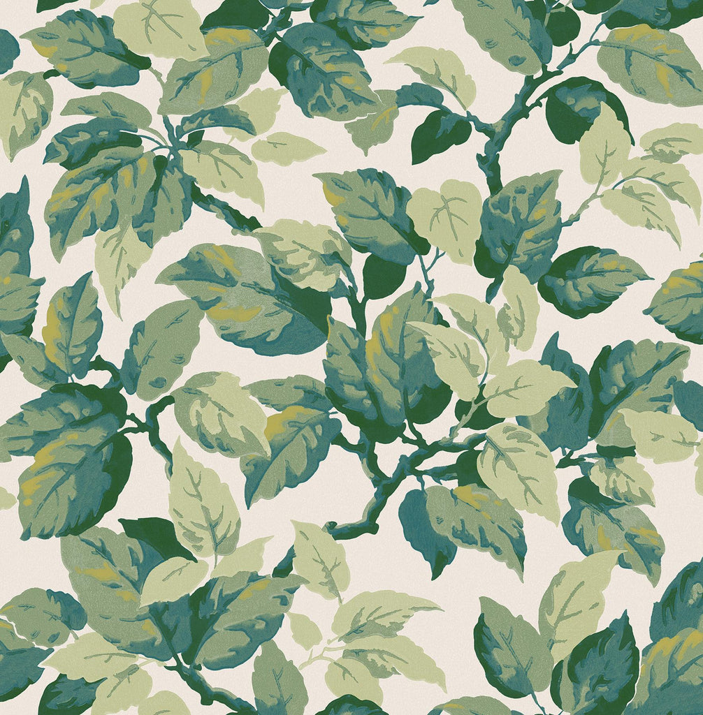 Brewster Home Fashions Leaves Green Wallpaper