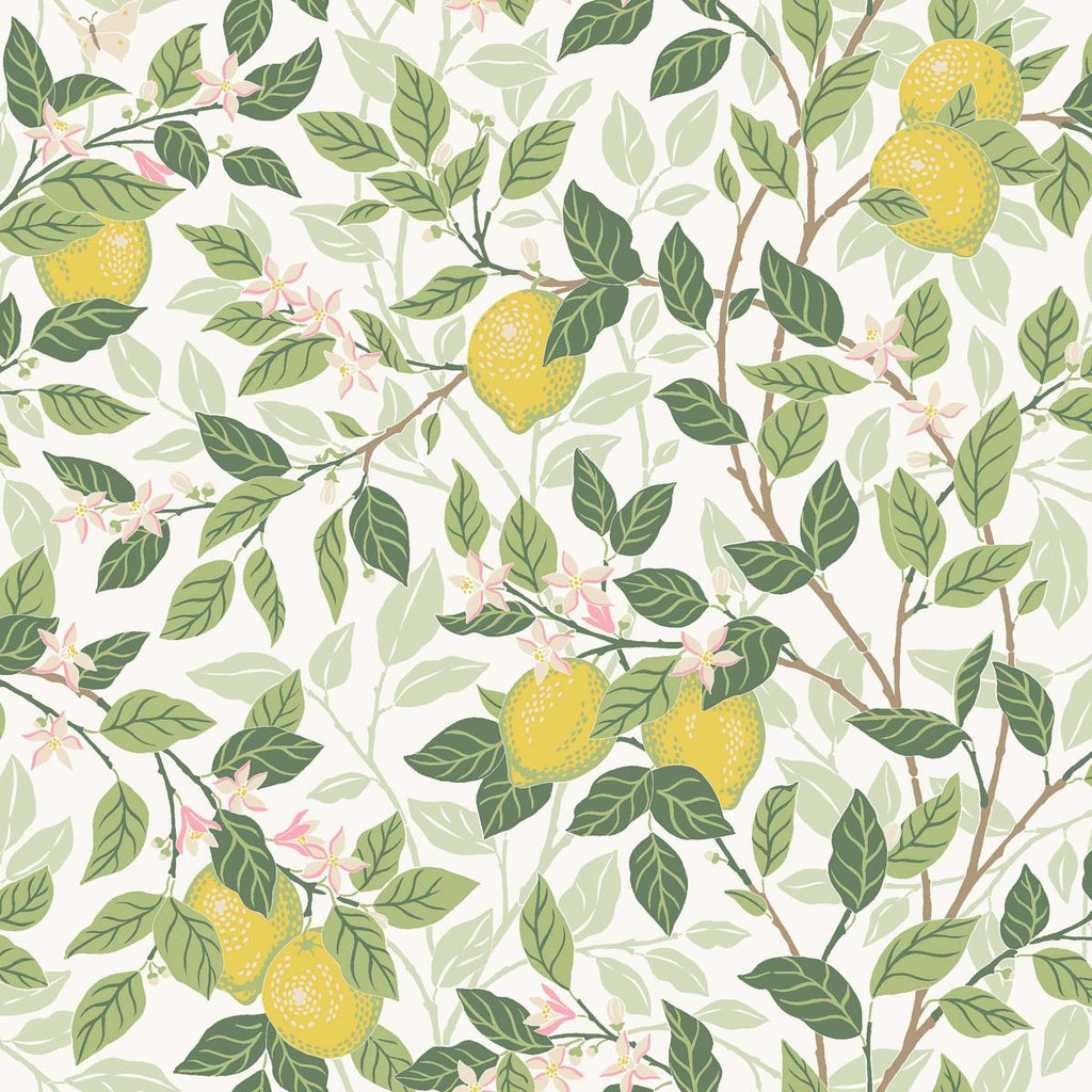 Borastapeter Citrontrd Ivory And Leaf Wallpaper