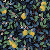 Borastapeter Citrontrd Spruce And Blue Wallpaper