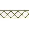 Schumacher Parisian Bamboo Green Trim