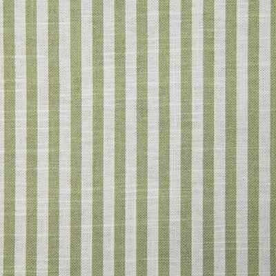 Pindler ALBERT SAGE Fabric