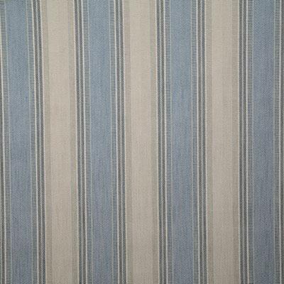 Pindler BADRA INDIGO Fabric