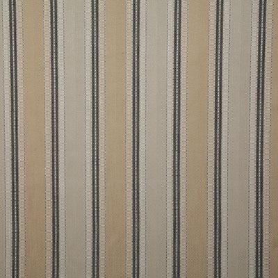 Pindler BADRA GRANITE Fabric