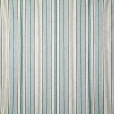 Pindler BERNICE SERENITY Fabric