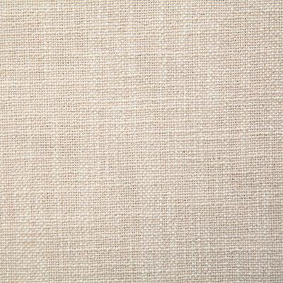 Pindler BRODIE FLAX Fabric