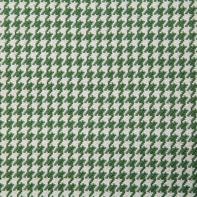 Pindler DONOVAN SPRING Fabric