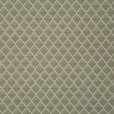 Pindler HARROGATE PALM Fabric