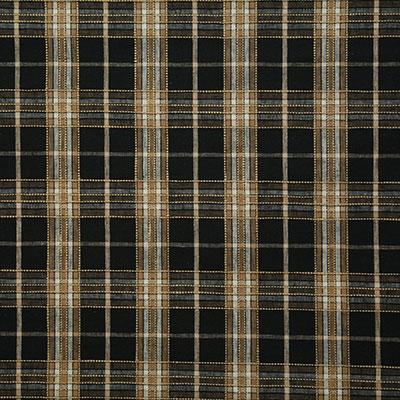 Pindler IVAN EBONY Fabric