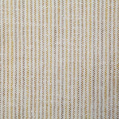 Pindler ONZA SOLEIL Fabric