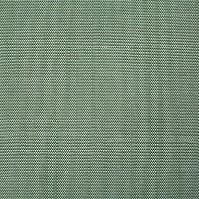 Pindler RALEIGH LEAF Fabric