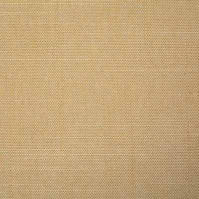 Pindler RALEIGH BUTTERCUP Fabric