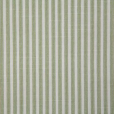 Pindler RAYBROOK LEAF Fabric