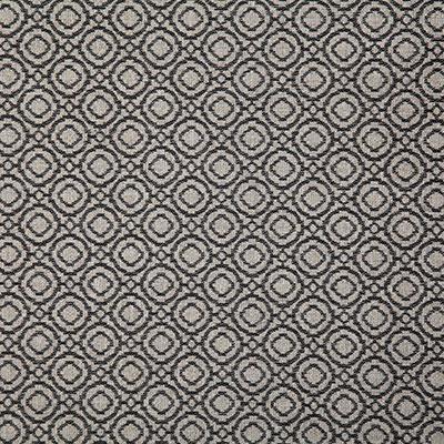 Pindler SAYER ONYX Fabric