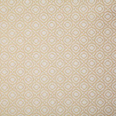 Pindler SAYER BUTTERCUP Fabric