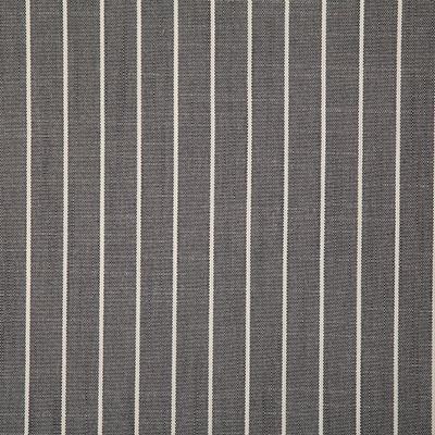 Pindler TALLARD SMOKE Fabric