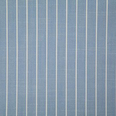 Pindler TALLARD SKY Fabric