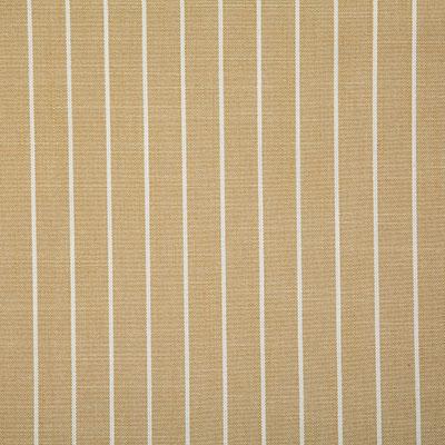 Pindler TALLARD BUTTERCUP Fabric