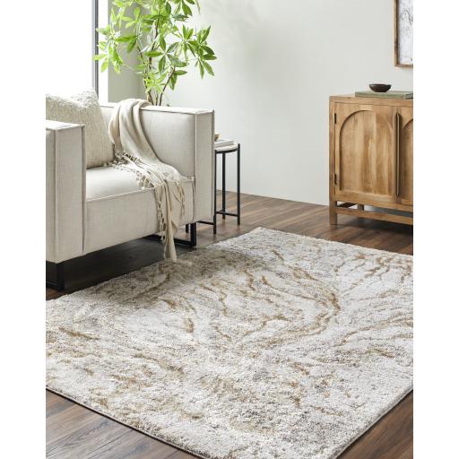 Surya Andorra Plus ARP-2300 Tan 2' x 2'11" Rug