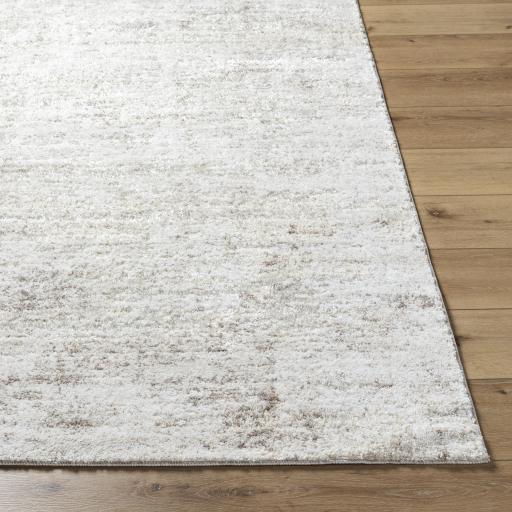 Surya Andorra Plus ARP-2305 White 5'3" x 7'3" Rug