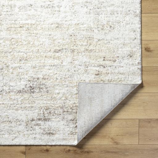 Surya Andorra Plus ARP-2305 White 5'3" x 7'3" Rug