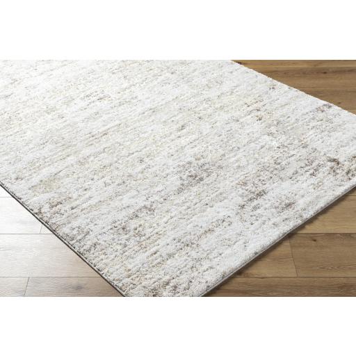 Surya Andorra Plus ARP-2305 White 5'3" x 7'3" Rug