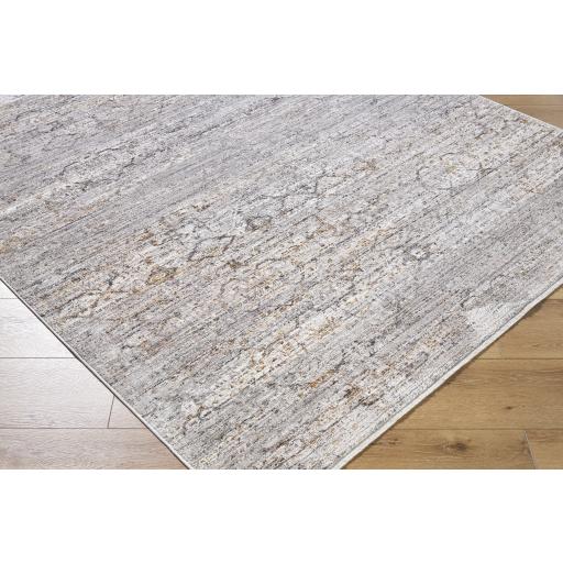 Surya Chapel Hill CHP-2300 Taupe 5'3" x 7' Rug