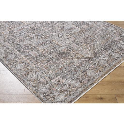 Surya Chapel Hill CHP-2301 Taupe 5'3" x 7' Rug