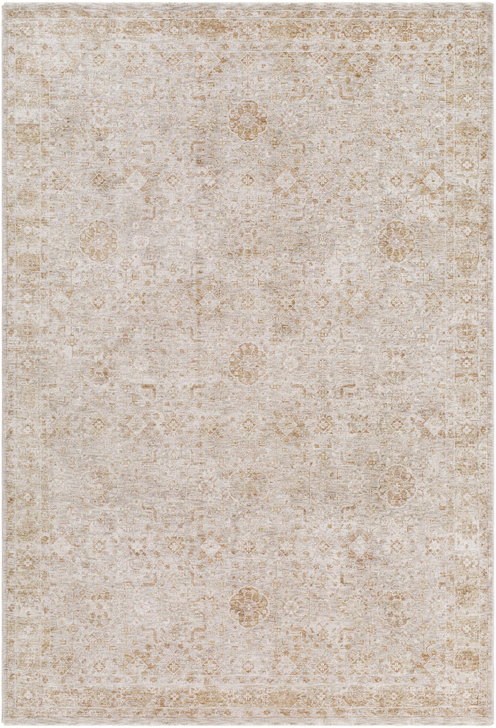 Surya Da Vinci DVC-2304 2'7" x 3'11" Rug