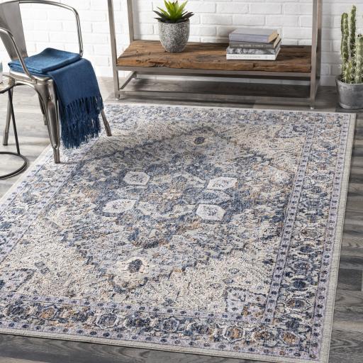 Surya Infinity INF-2305 Brown Charcoal 6'7" x 9' Rug