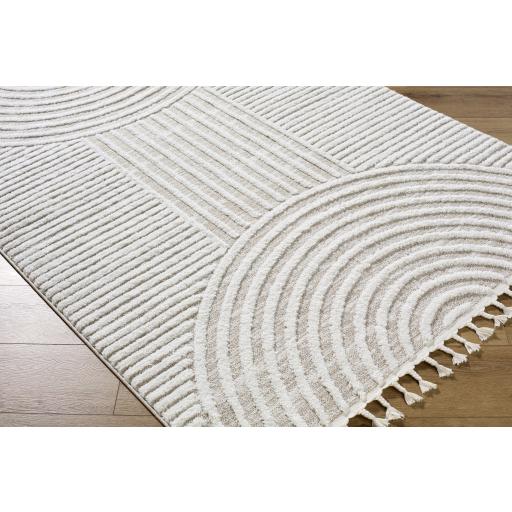 Surya Nora NOA-2312 Cream Light Beige 3'11" x 5'7" Rug