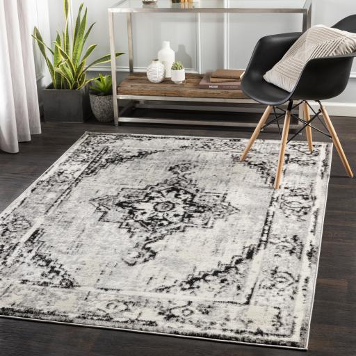 Surya Pisa PSS-2314 Black Charcoal 6'7" x 9' Rug