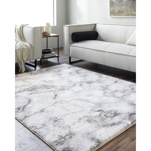 Surya Portofino PTF-2318 Medium Brown 6'7" x 9' Rug