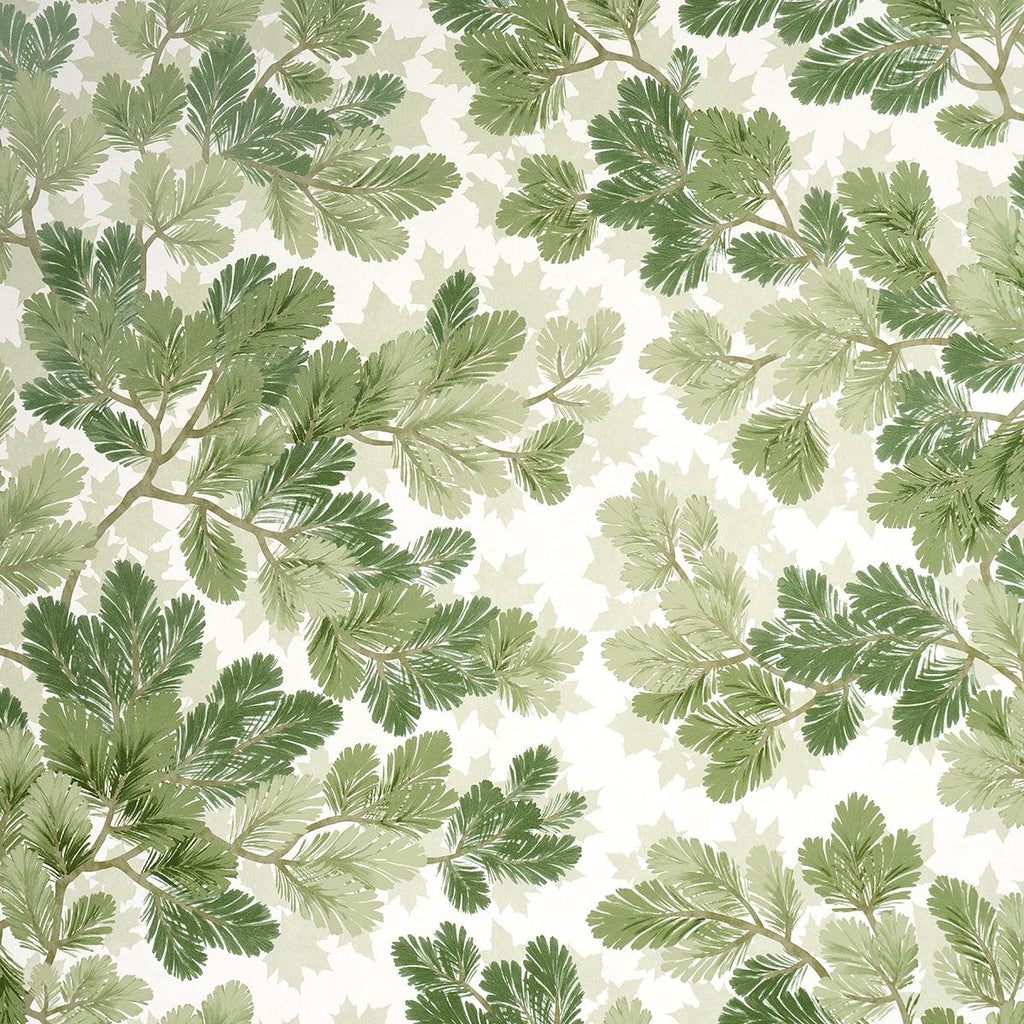 Schumacher Covey Hedge Sage Wallpaper