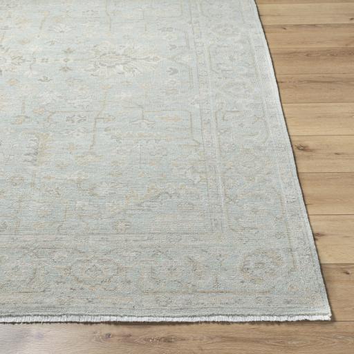 Surya Anelka ANK-2300 6' x 9' Rug