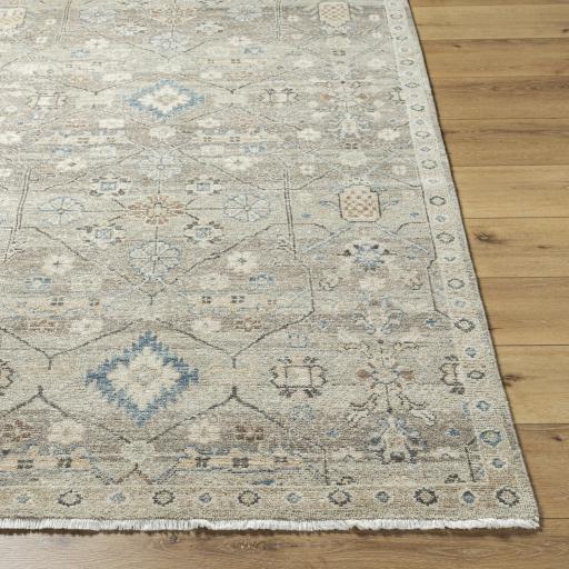 Surya Anelka ANK-2302 2' x 3' Rug