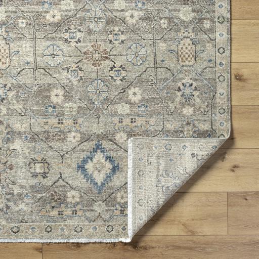 Surya Anelka ANK-2302 2' x 3' Rug