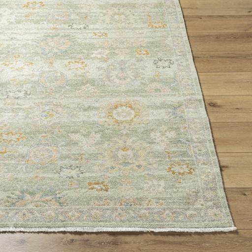 Surya Anelka ANK-2304 2' x 3' Rug