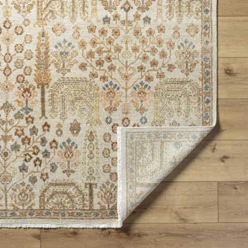 Surya Anelka ANK-2303 10' x 14' Rug