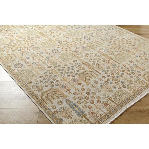 Surya Anelka ANK-2303 10' x 14' Rug