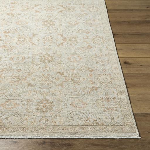 Surya Anelka ANK-2306 10' x 14' Rug