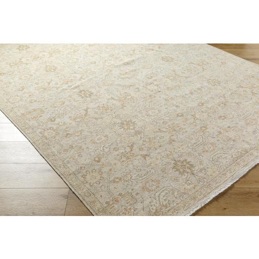 Surya Anelka ANK-2306 10' x 14' Rug