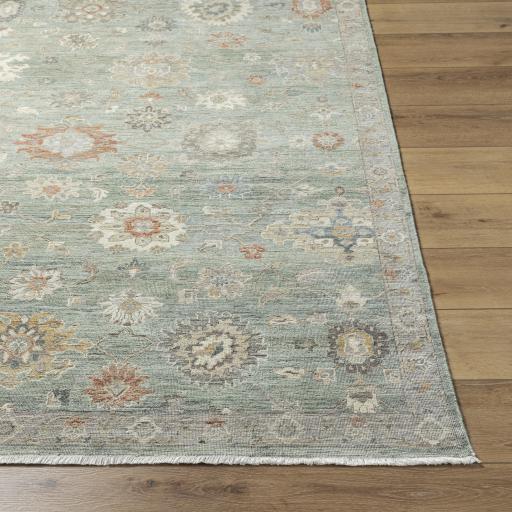 Surya Anatolia ANY-2313 6' x 9' Rug