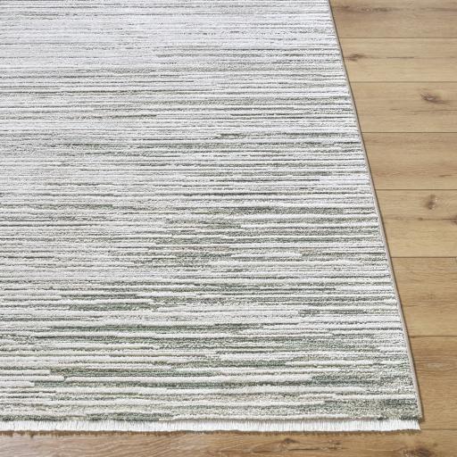 Surya Alston AON-2303 5'3" x 7' Rug